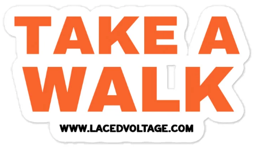 TAKE A WALK sticker⚡️